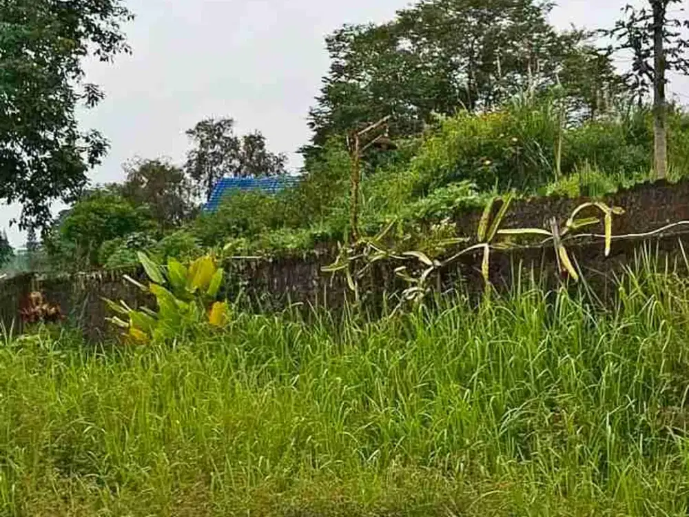 Tanah Di Pinggir Jalan Raya Megamendung Bogor