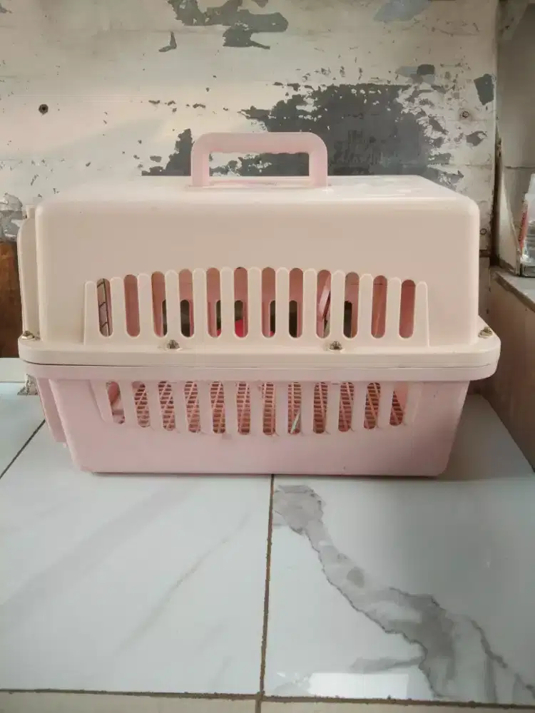 Kandang Hewan kucing