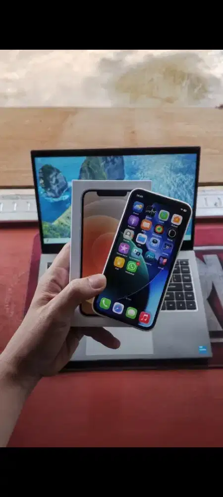 iPhone 12 mini white