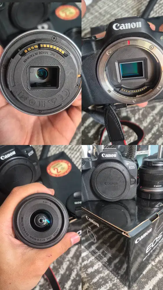 KAMERA CANON EOS R50
