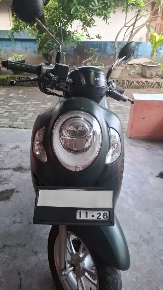 Honda scoopy stylish 2023