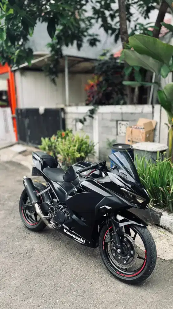 2019 Kawasaki New Ninja 250 Fi