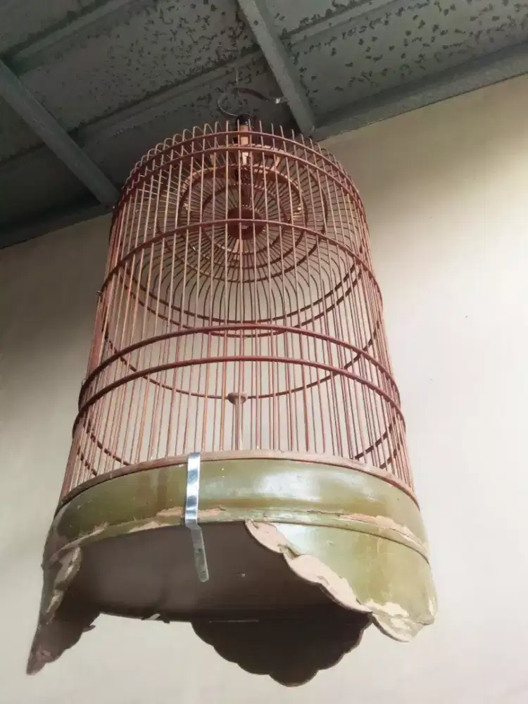 Sangkar Burung Branjangan