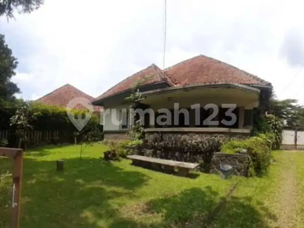 Rumah Vintage Asri Adem Sayap Riau untuk Kantor Usaha Rumah Nego