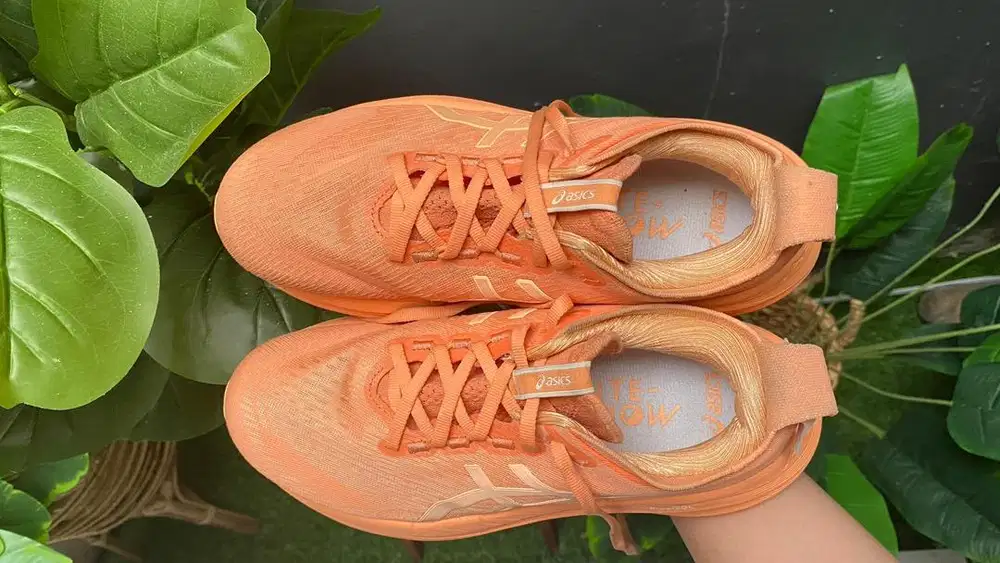 Sepatu Lari Asics Nimbus 27