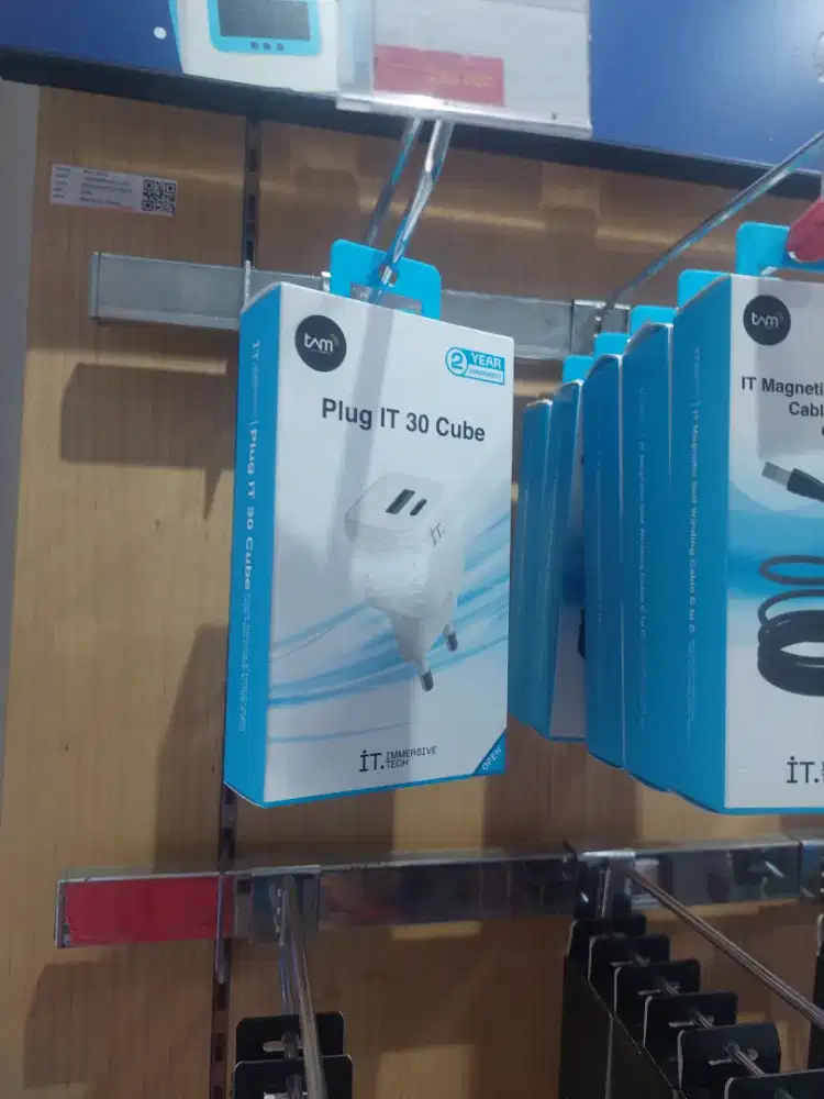 IT Plug adapter 30W Dual port