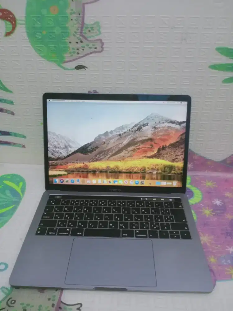 MacBook Pro retina 13in 2018 ( Toschbar) Core i5 
Ram 16 GB
SSD 256 GB