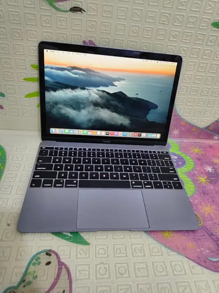 MacBook Retina 12-inch, Early 2016
Intel Core M5
Ram 8 GB
SSD 512 GB