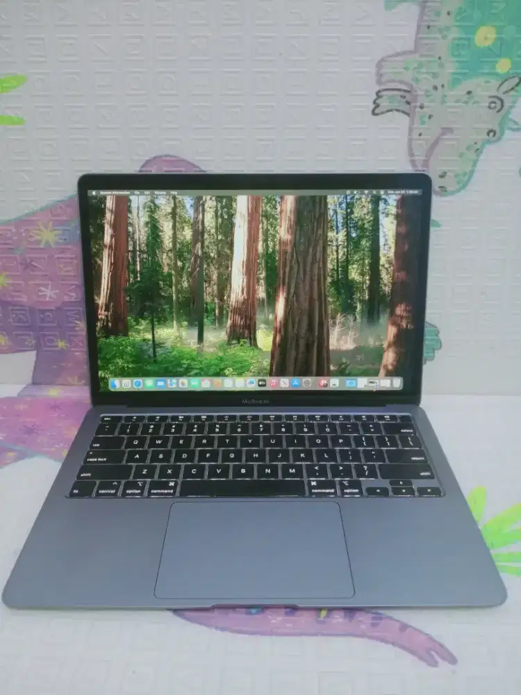 MacBook Air retina  13in 2020
Intel Core i3
Ram 8 GB
SSD 256 GB