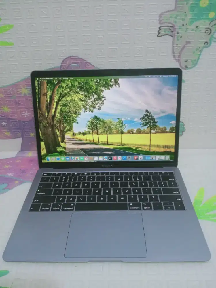 MacBook Air retina 13in 2019
Intel Core i5 
Ram 8 GB
SSD 128 GB