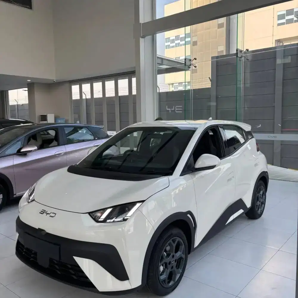 BYD ATTO 1 JAWA TIMUR