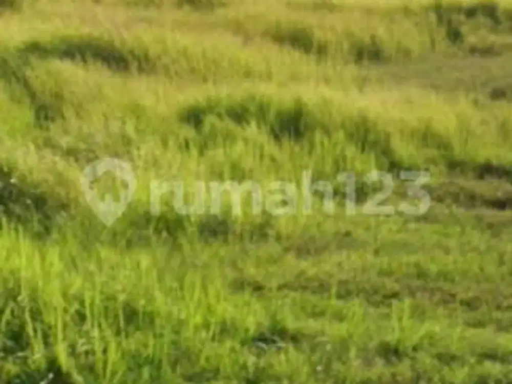 Dijual Tanah Di Daerah Industri Pabedilan Ciledug Cirebon