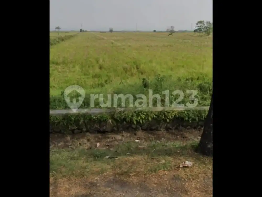 Disewakan dan Dijual Tanah di Bendungan Kanci Cirebon
