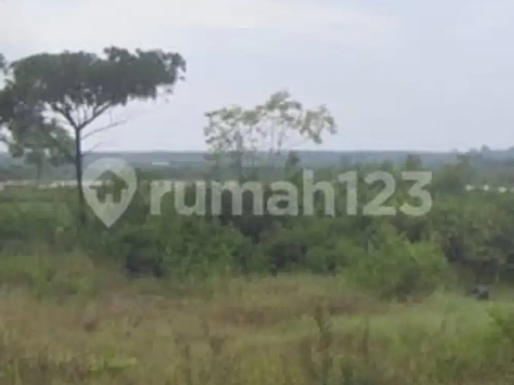Disewakan dan Dijual Tanah di Astanajapura Mundu Cirebon
