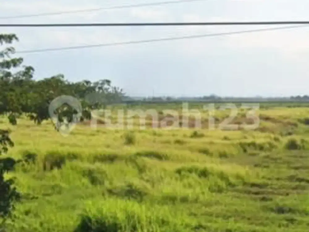 Dijual Tanah Industri Di Daerah Pabedilan Ciledug, Cirebon