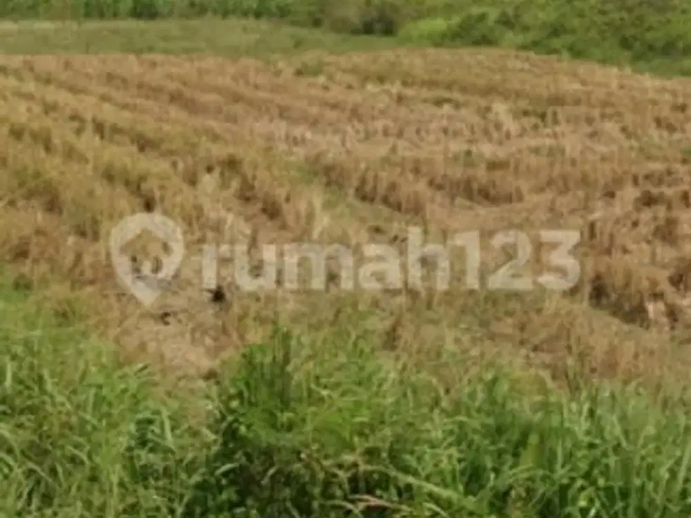 Dijual Tanah Di Jalan Kanci Astanajapura Dekat Tol Kanci Cirebon