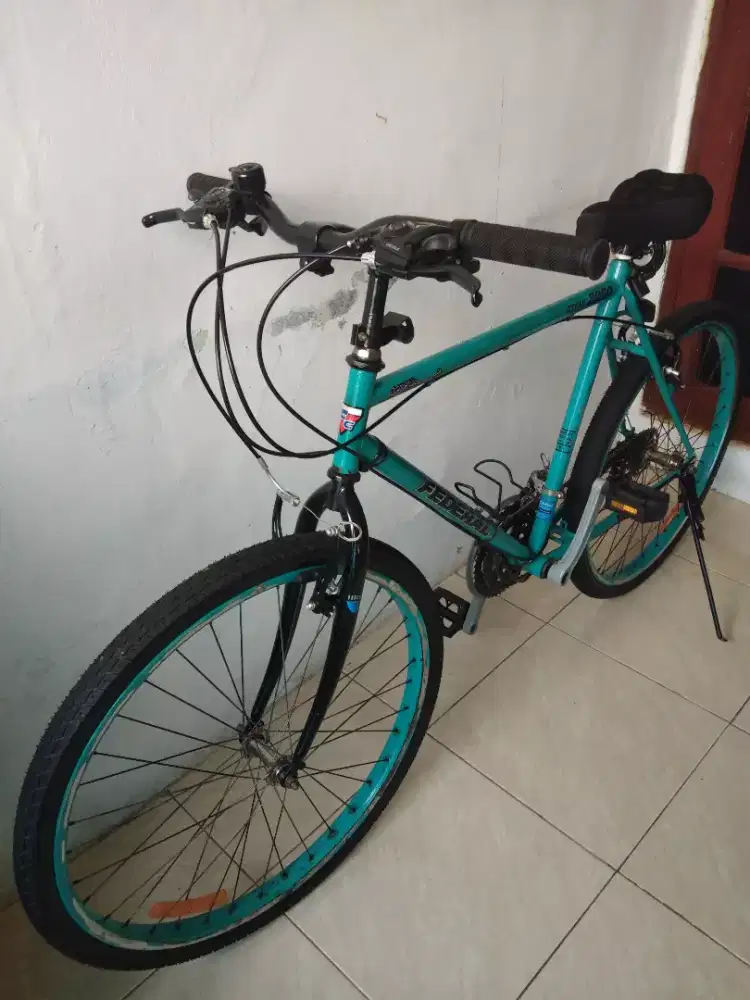 Sepeda jadul dewasa