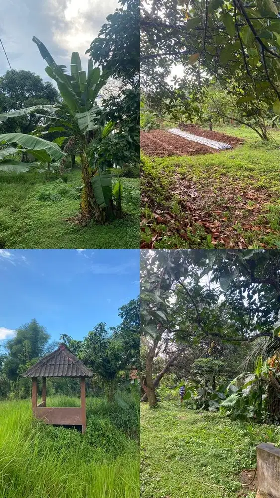 Dijual tanah SHM Bedahan Sawangan Depok