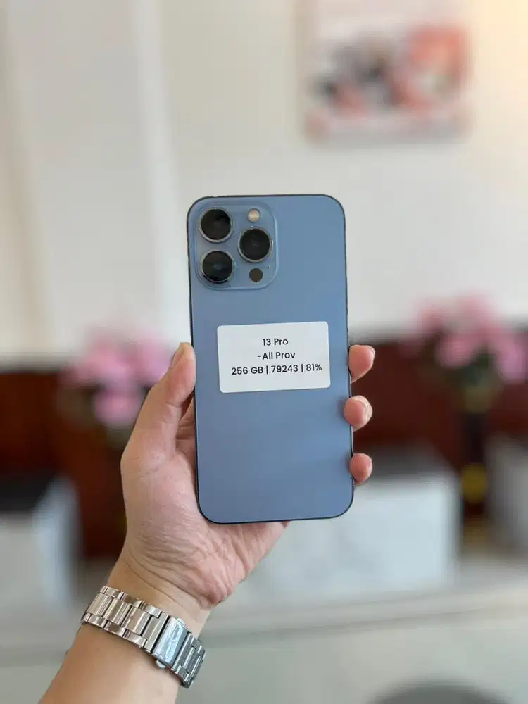 13 Pro 256Gb inter All provider