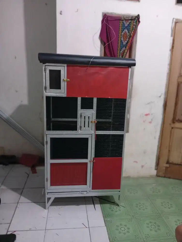 Undang ternak murai dll
