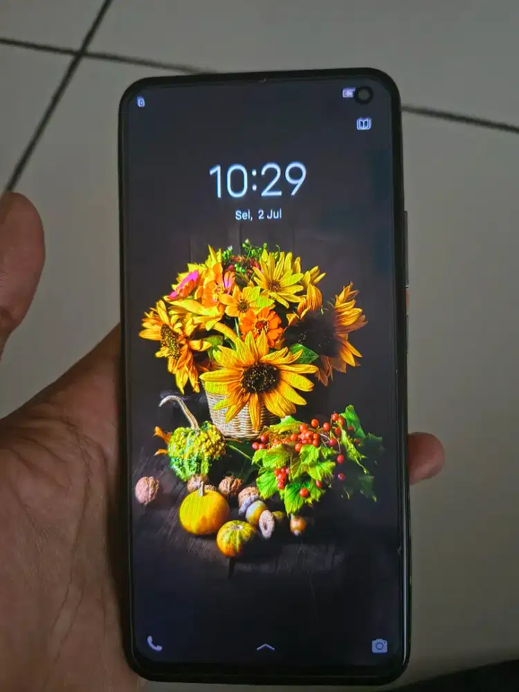 Vivo v19 ORI 12/128gb