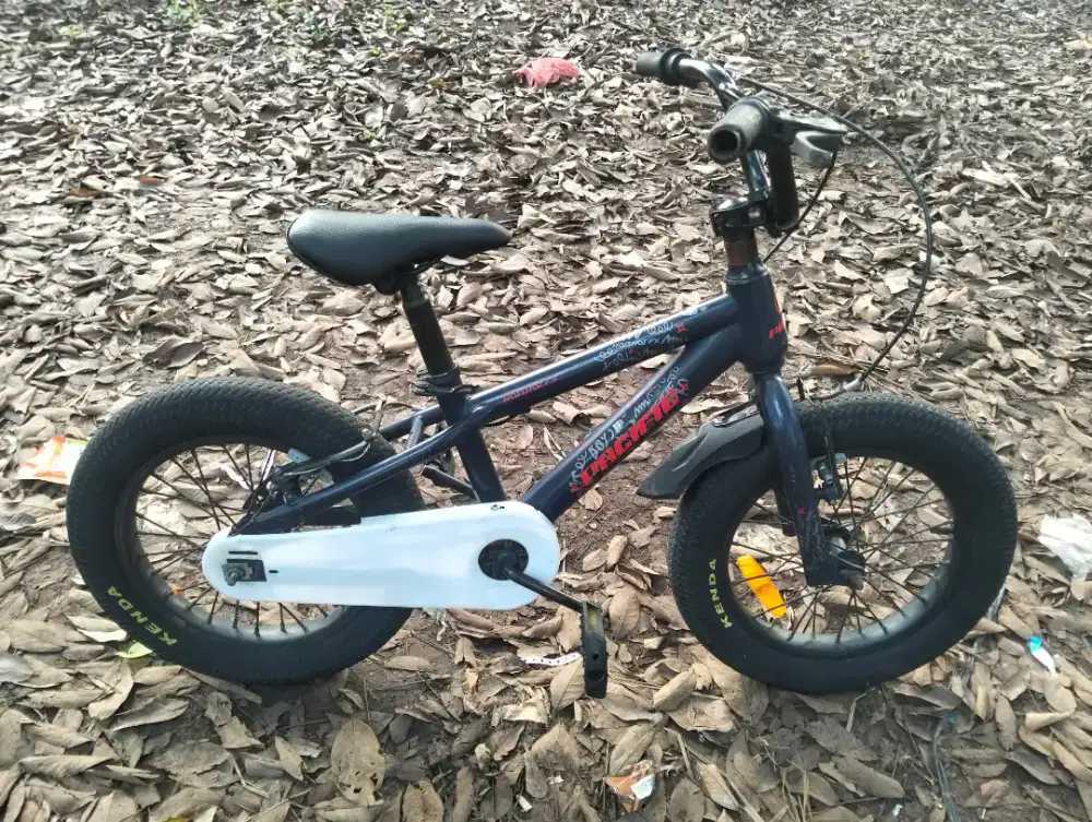 Pacific hotshot 16 in