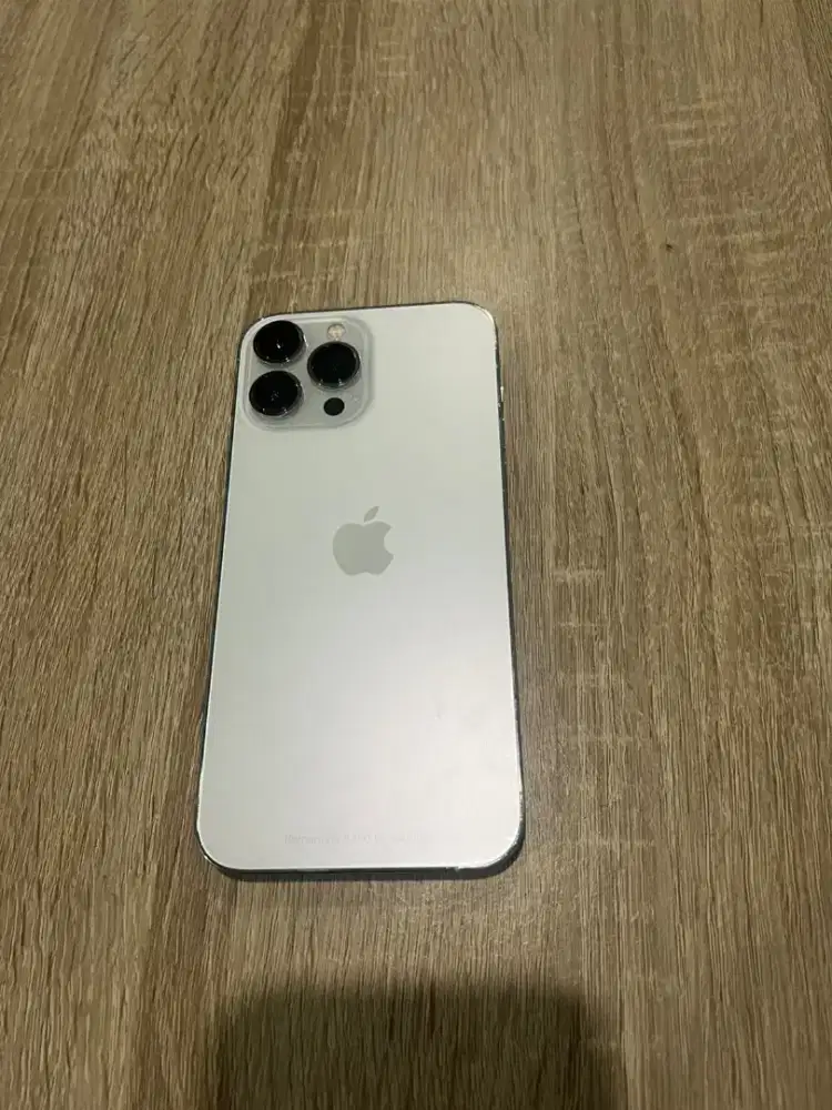 iphone 13 promax 256