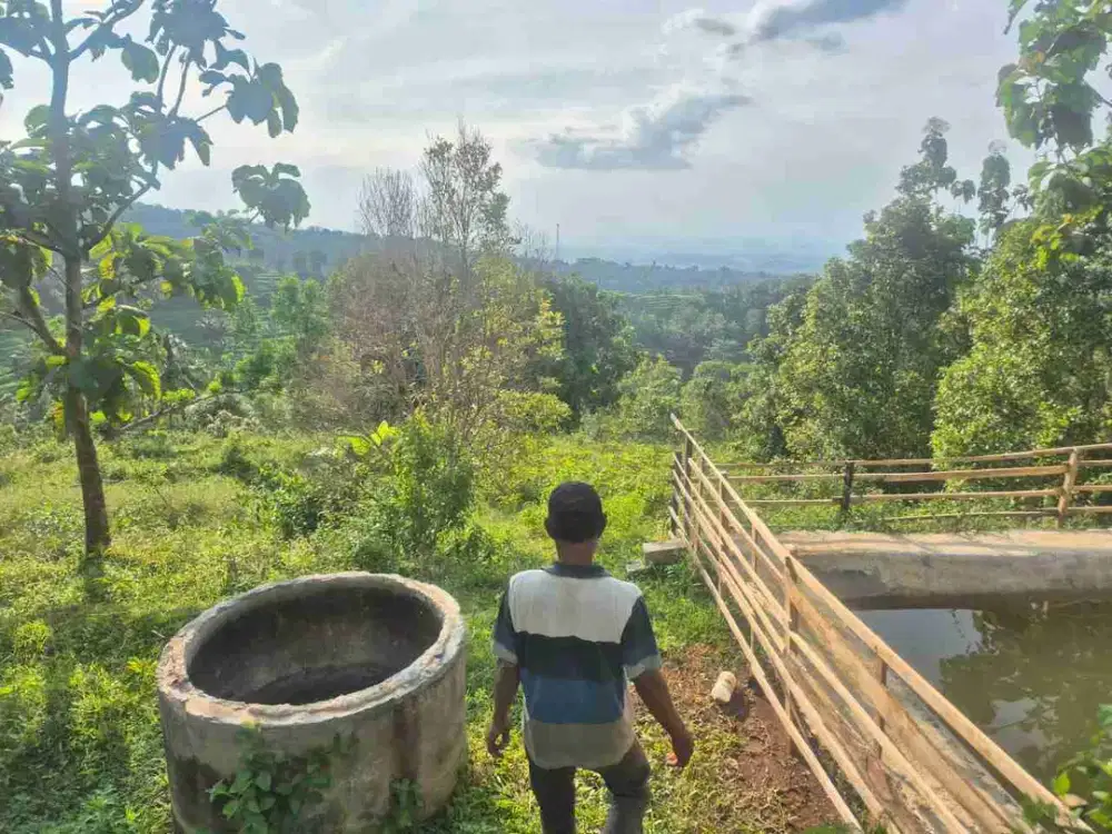 dijual tanah perkebunan di kare madiun