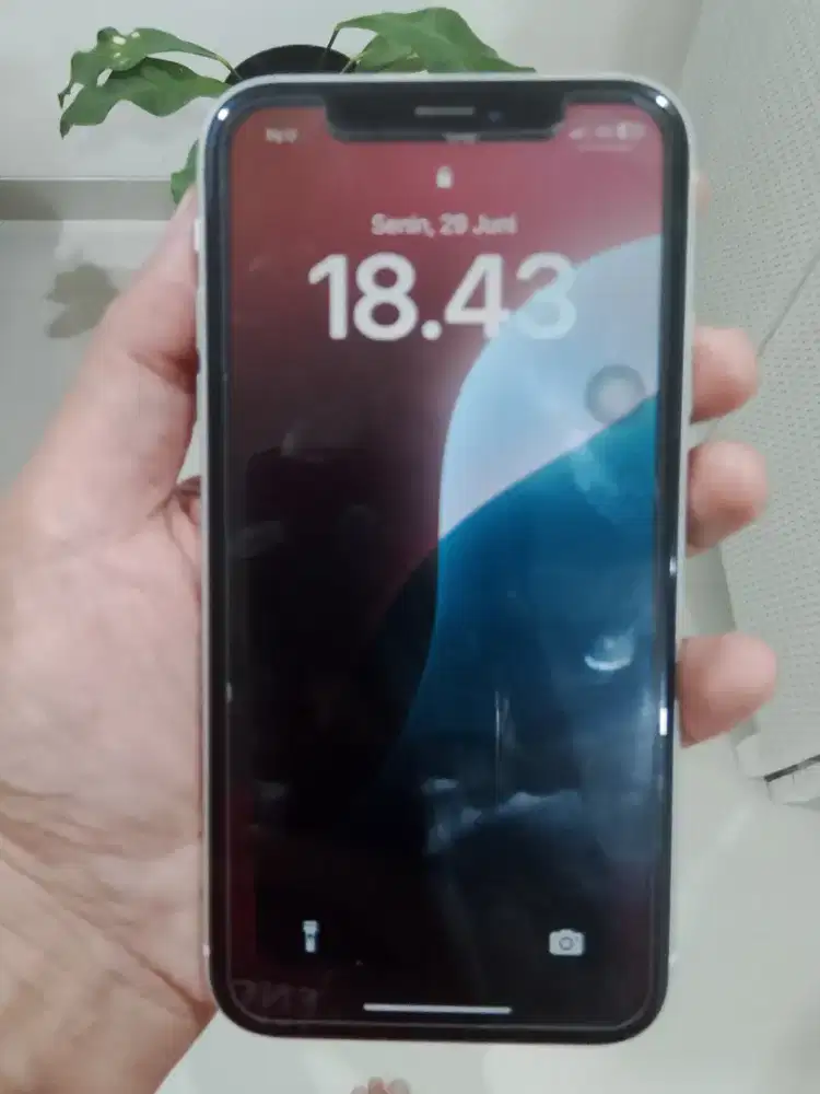 iPhone XR Inter 64Gb