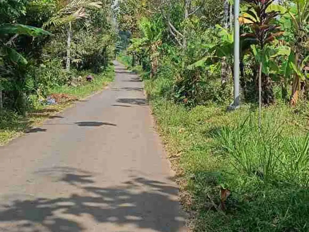 DI JUAL PEKARANGAN ZONA PERUMAHAN PACET B.U