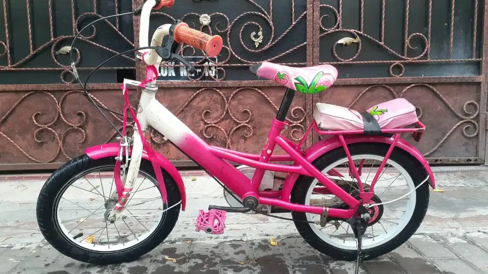 SEPEDA ANAK MINI WIMCYCLE STRAWBERRY