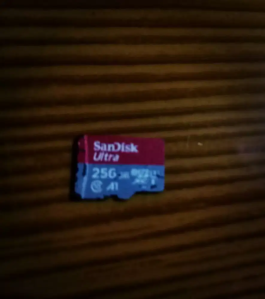 SanDisk Ultra 256GB MicroSD