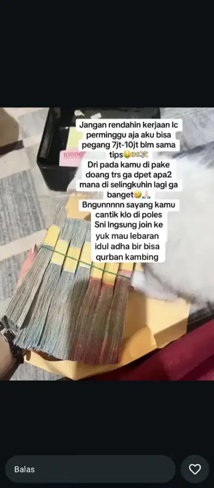 LOKER KHUSUS LADIES