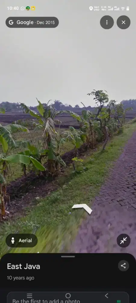 DIJUAL TANAH SAWAH PRODUKTIF BUNTALAN BOJONEGORO