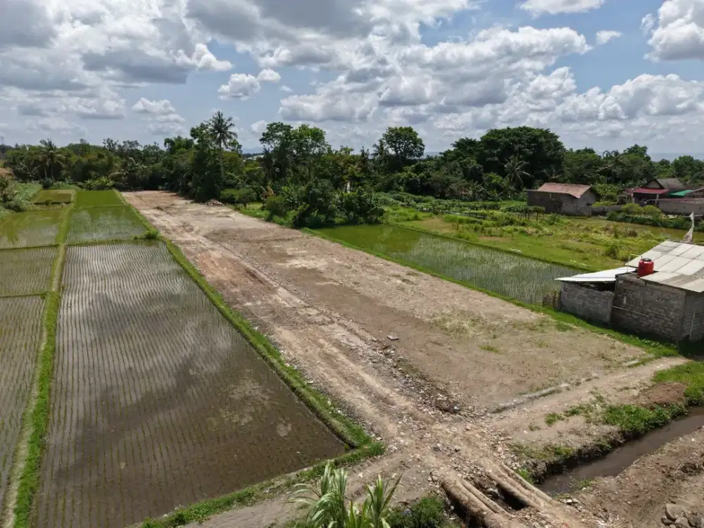 Tanah Sleman Tepi Jl Pandowoharjo Ngangglik SHMP