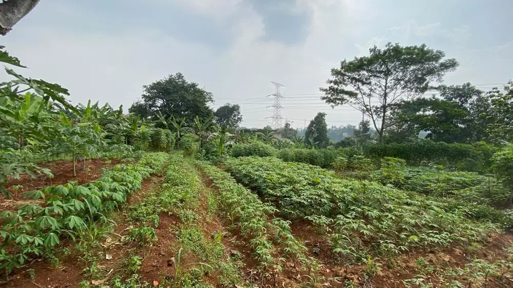 tanah 5300 meter dijual murah daerah meruyung