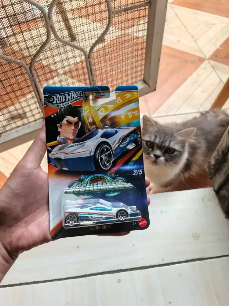 Hotwheels silver series