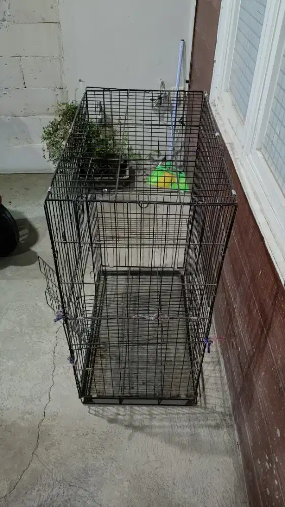 Kandang kucing besar