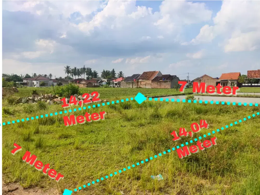 Di jual tanah pribadi luas 99 kotamadya