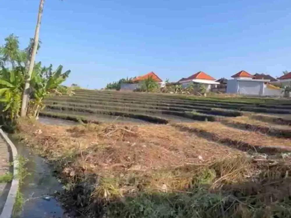 Buc Tanah Lingk Villa.450m2 View Sawah Raya di Kayu Tulang Utr Canggu