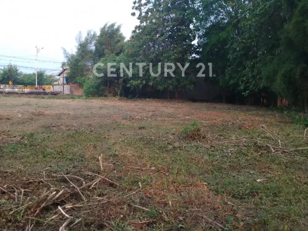 JUAL CEPAT TANAH LUAS 4.220 M² Di SERANG CIBARUSAH