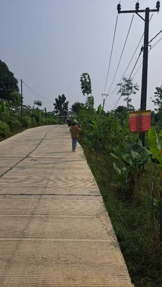 TANAH SHM 350 Ribu PerMeter ( BU ) SHM PINGGIR JALAN 2380 M