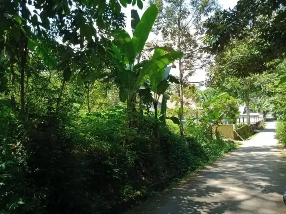 Dijual Tanah Dekat Salatiga