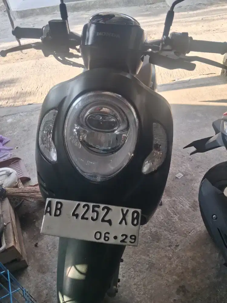 Honda scoopy 2024