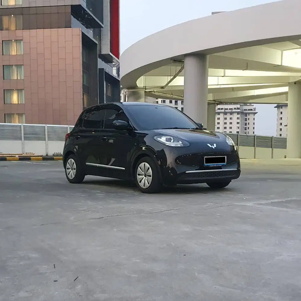 BINGUO LITE EV 2025