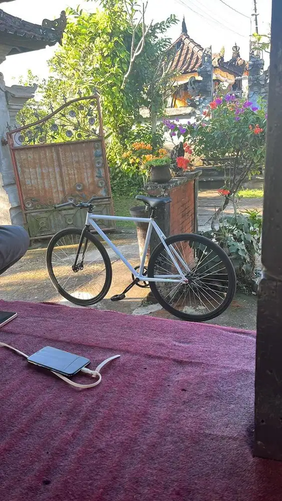 fixie frame clasic