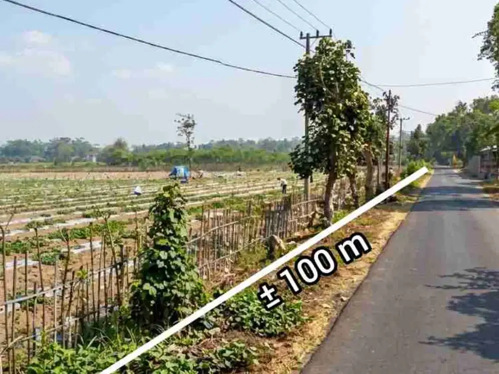 JUAL TANAH LUAS KARANGBENDO PONGGOK BLITAR