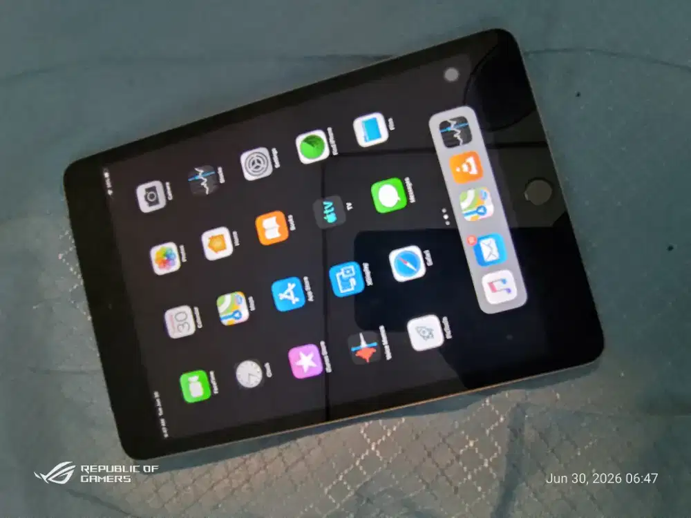 Apple Ipad mini 3