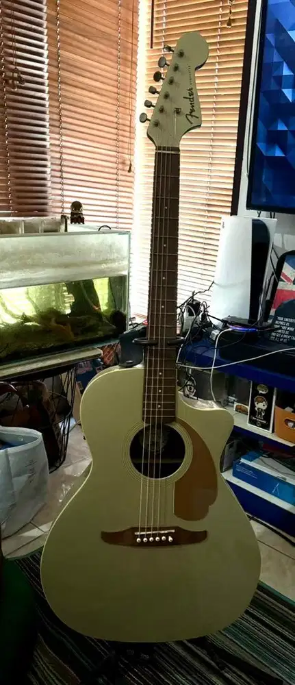 Fender acoustic california newporter