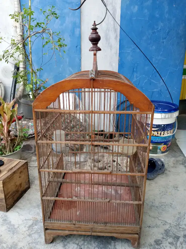 Kandang burung No 2